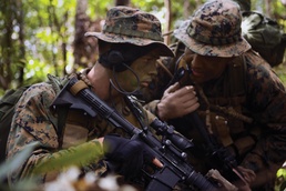 Recon Marines tackle jungle warfare training