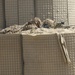 Exercise Lion’s Leap continues for Iraqi military
