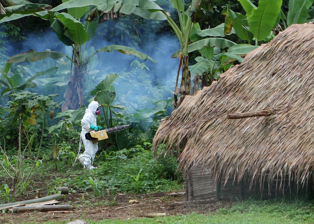 Pacific Partnership community relations project in Espiritu Santo