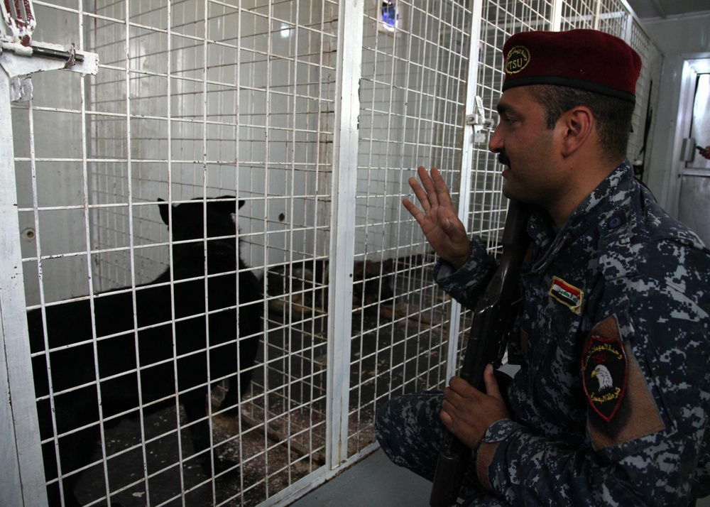 Basrah Iraqi police K-9 facility