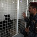 Basrah Iraqi police K-9 facility