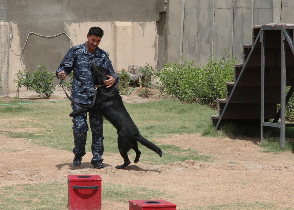 Basrah Iraqi police K-9 facility