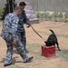 Basrah Iraqi police K-9 facility