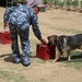 Basrah Iraqi police K-9 facility