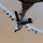 Air Refueling Mission