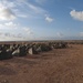 Joint Logistics Over The Shore force sets up base