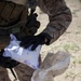 Marines seize $5 million in narcotics during Operation Aero Hunter