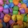 Easter Egg Hunt Easter Egg Hunt
