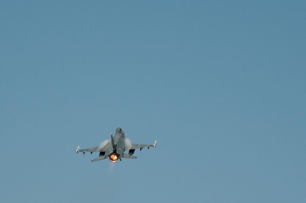 Falcon Air Meet 2010