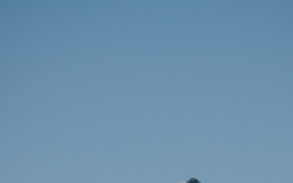 Falcon Air Meet 2010