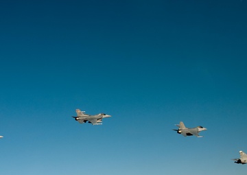 Falcon Air Meet 2010