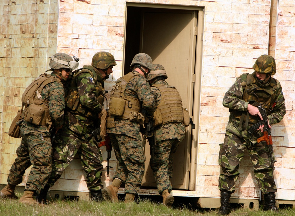 US, Romanian Marines Complete COIN Training