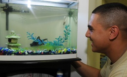 Memory of Soldier swims with fish