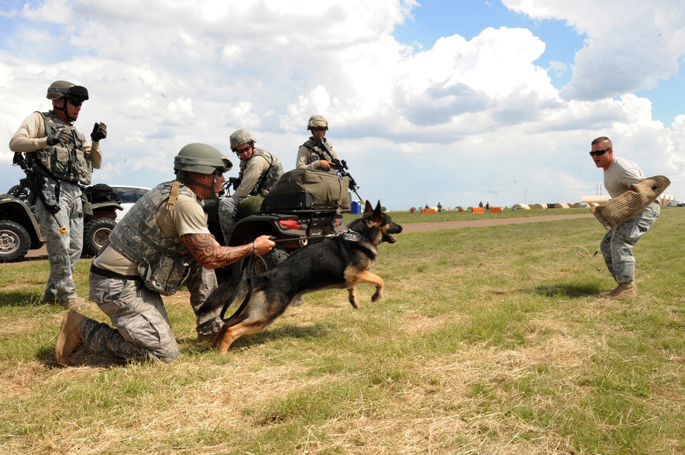 Security Forces Dog on the Job