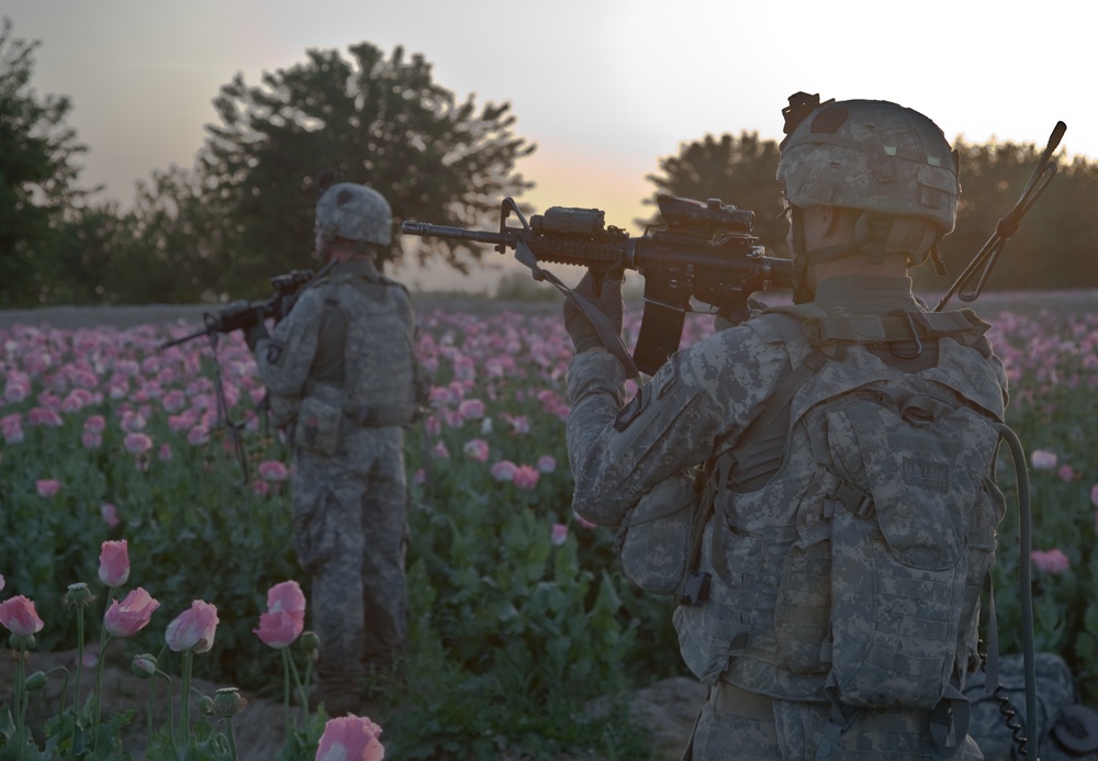 Raid Cordon and Search near Nalgham