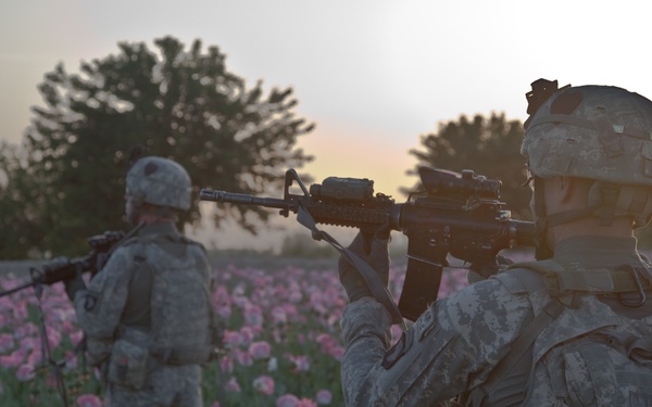 Raid Cordon and Search near Nalgham