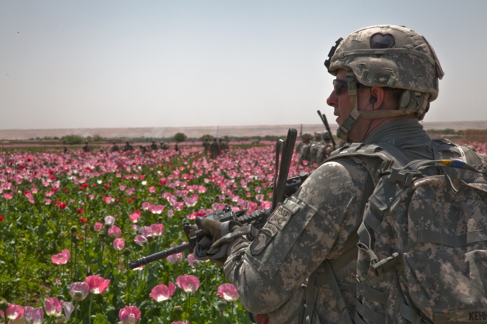 Raid Cordon and Search near Nalgham
