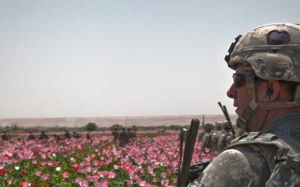 Raid Cordon and Search near Nalgham