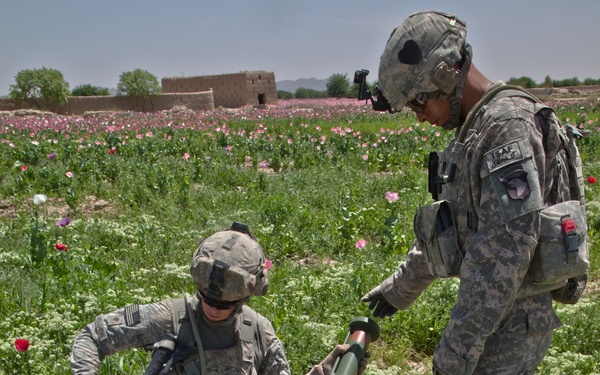 Raid Cordon and Search near Nalgham