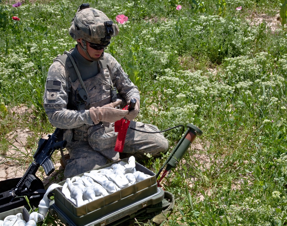 Raid Cordon and Search near Nalgham