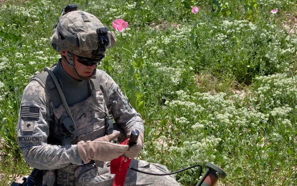Raid Cordon and Search near Nalgham