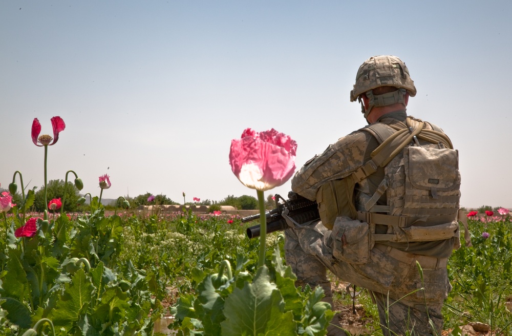 Raid Cordon and Search near Nalgham