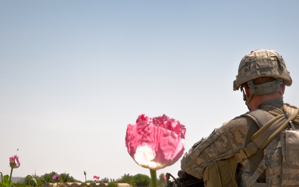 Raid Cordon and Search near Nalgham