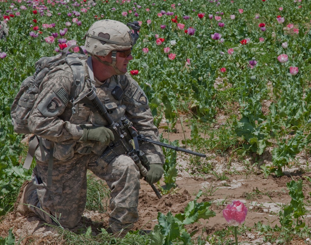 Raid Cordon and Search near Nalgham