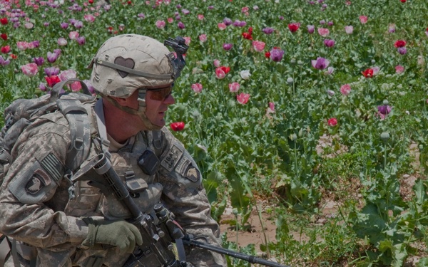 Raid Cordon and Search near Nalgham