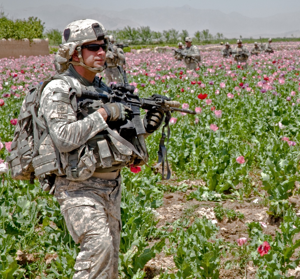 Raid Cordon and Search near Nalgham
