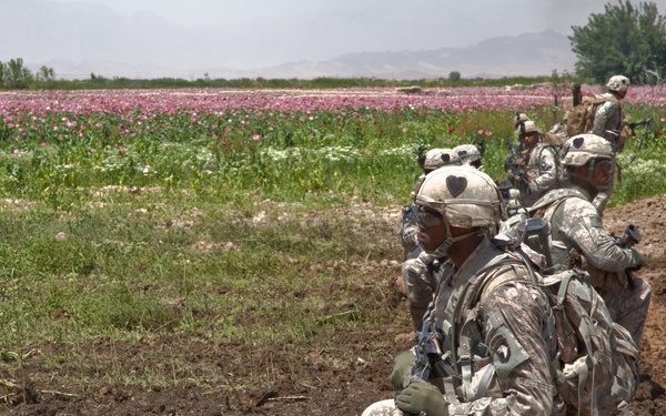 Raid Cordon and Search near Nalgham