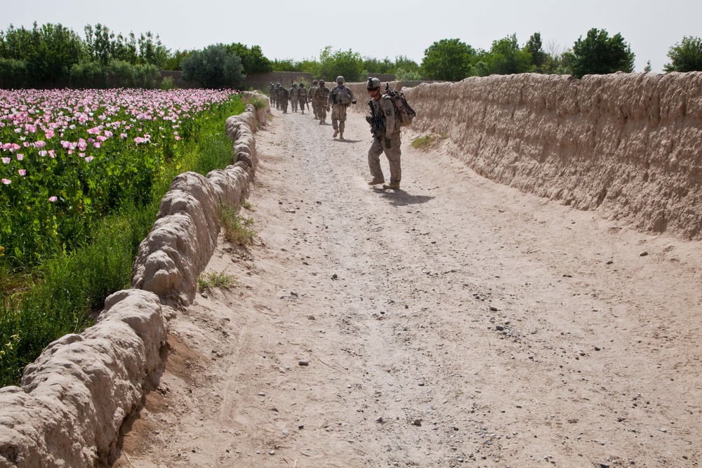 Operation Mountain Jaguar Air Assault Raid Cordon Searches