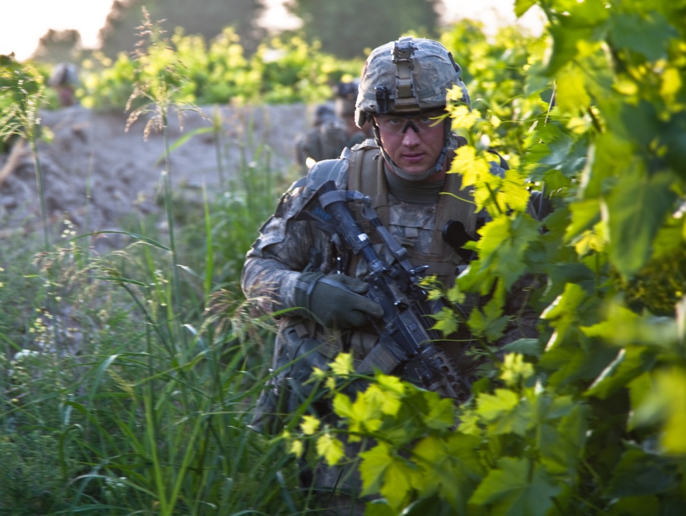 Operation Mountain Cougar in Char Shaka