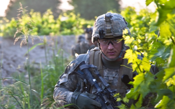 Operation Mountain Cougar in Char Shaka