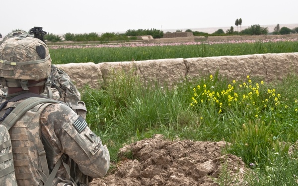 Operation Mountain Cougar in Char Shaka
