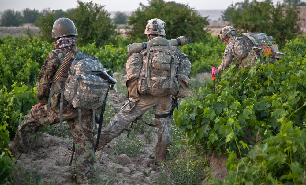 Operation Mountain Cougar in Char Shaka