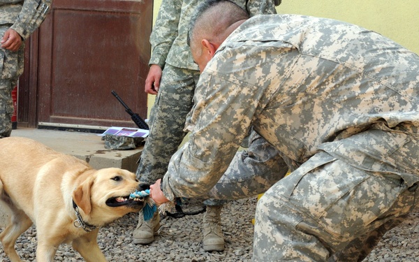 Who wants to pet an E-7?