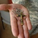 CLOSE TO THE HEART: World War I Soldier's Poem and Personal Artifact Honor the Fallen in the 42nd Division