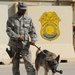 Military working dogs take bite out of opposition