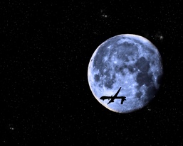 TF ODIN pilot uses photography to share experiences, memories