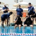 Diving training