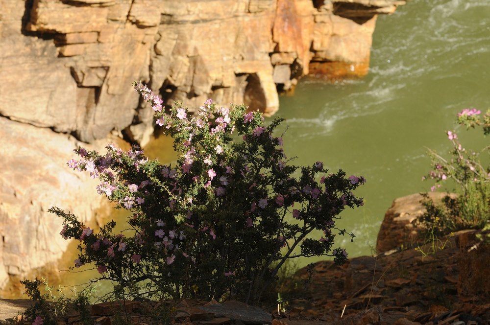 Panjshayr River Valley offers breathtaking views