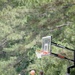 MAG-31 heats up summer during barracks bash