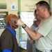 Americans, Moroccans team up for bilateral humanitarian and civic assistance visits during African Lion 2011