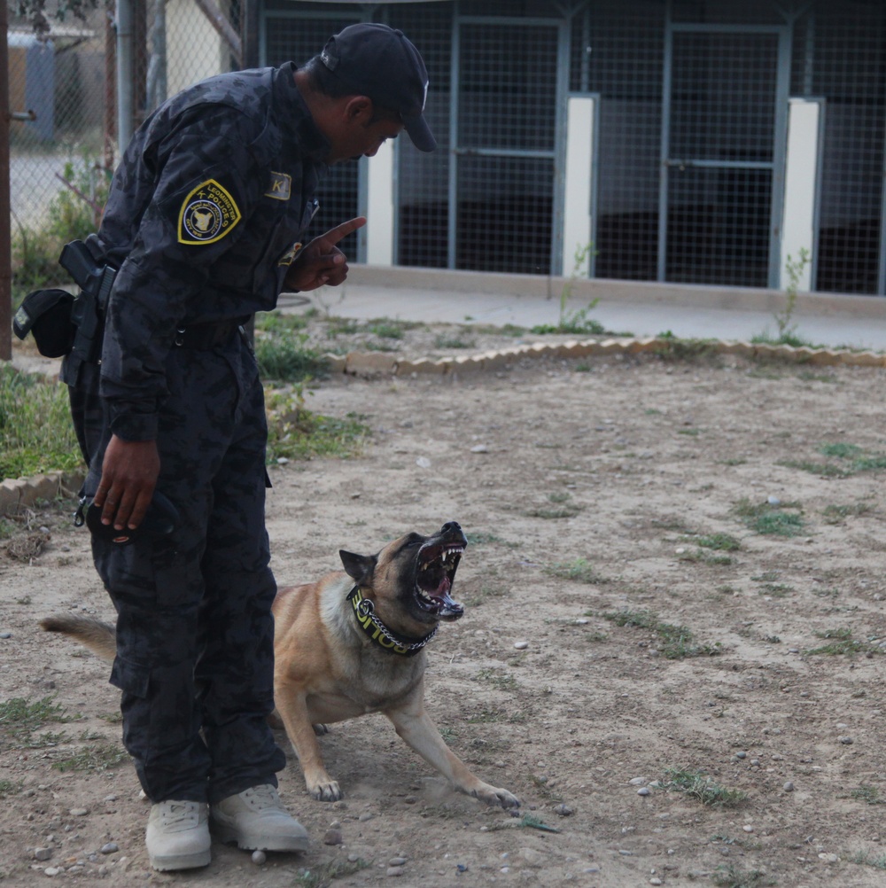 Major Terrorism K-9 Unit dog training