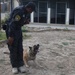 Major Terrorism K-9 Unit dog training