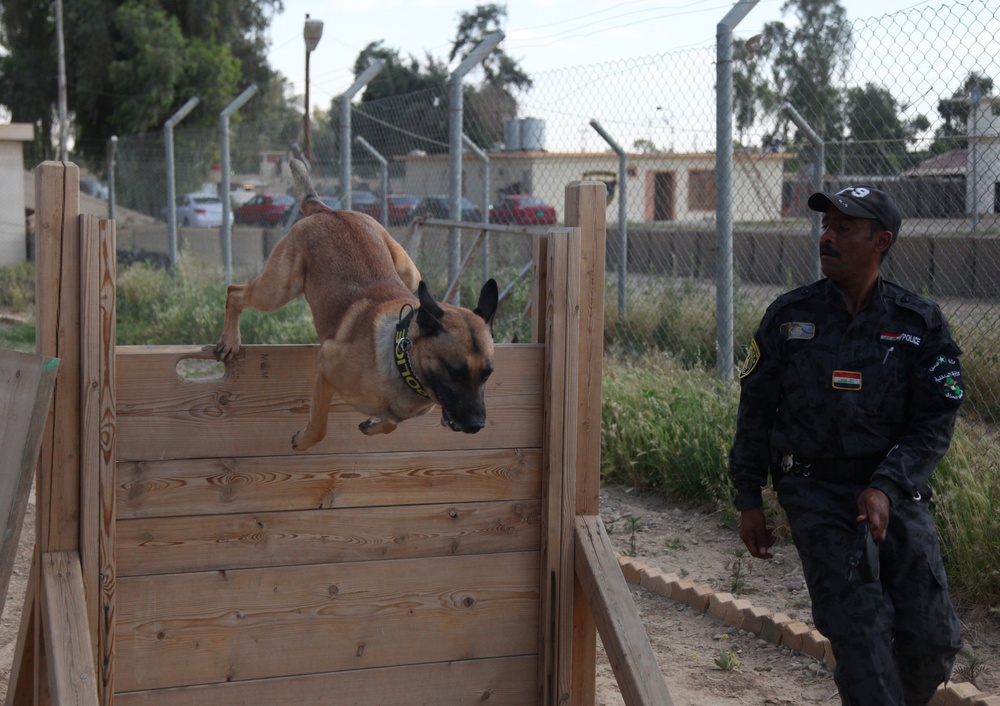 Major Terrorism K-9 Unit dog training
