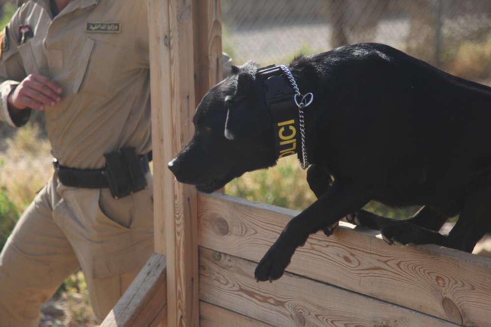 Major Terrorism K-9 Unit dog training