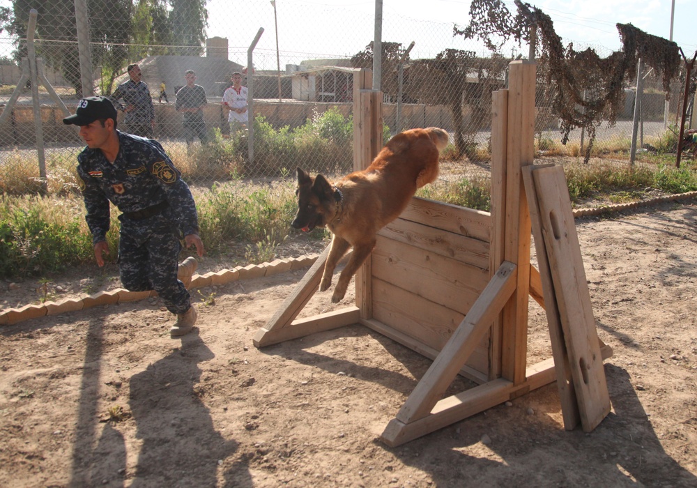 Major Terrorism K-9 Unit dog training