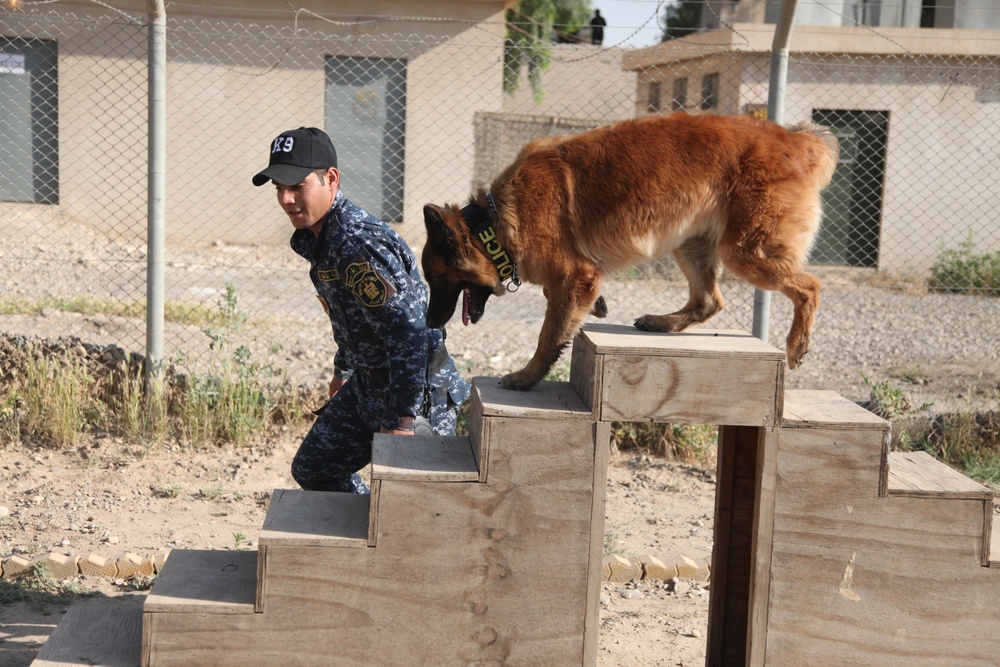 Major Terrorism K-9 Unit dog training